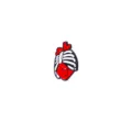 Punk skeleton anatomical heart enamel brooch badge for Halloween punk fashion styling. - Anatomical Heart Ribs Style (C2668-1)