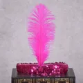 Vibrant pink ostrich feather sequin rhinestone headband for party cosplay costume dress up - Rose Red