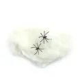 Close-up detail shot of black plastic spiders on white fluffy Halloween spider web cotton. - White