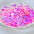 Holografische Muschel Pailletten fuer DIY Handwerk Schleim Zubehoer rosa lila glaenzend - 20g Packung / Rosa