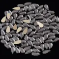 Strass de uñas en gota cristales de vidrio plano 4x8mm negro y oro 20 piezas brillante - Gris Transparente
