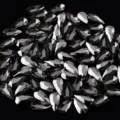 Strass de vidrio gris oscuro en gota base plana gemas de cristal brillantes para diseño de uñas. - Gris Mineral