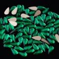 Estrás verdes en forma de lágrima con parte trasera plana para decoración de uñas. - Verde pavo real