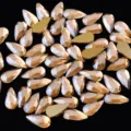 Estrategias de unas gota 4x8mm cristales planos brillantes gemas para decoracion de nail art 3d. - Champaña Dorado