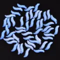 Blaue gewellte Strasssteine für Nageldesign, glänzende Kristallsteine für Nailart. - S-Form / 20 Stück/Packung (2x9mm) / Blau