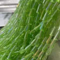 Perline di pagoda in vetro cristallo colore AB sfuse accessori per gioielli fai da te - Verde Frutta AB