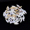 Strass per unghie flatback marquise, cristallo AB pietra di luna DIY decorazioni per nail art. - Taglio marquise / 20 Pezzi (3x11mm)