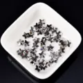 Kristall schwarze Stern Nagelkunst Strasssteine flache Rückseite DIY 20 Stücke - Stern / 7mm / Mineralgrau