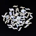 Strass per unghie ondulati irregolari cristalli vetro retro piatto decorazione - forma di S / 20 Pezzi (2x9mm)