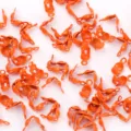 4mm orange clamshell bead tips knot covers for DIY jewelry making necklaces bracelets supplies - Orange