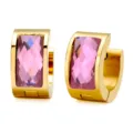 Gouden titanium staal creolen oorbellen met roze gefacetteerde stenen dames mode sieraden - Acryl rozerood