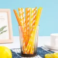 Kleurrijke papieren wegwerprietjes set, milieuvriendelijke rietjes voor feestjes. - Oranje serie, willekeurige mix