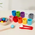 Hölzernes Montessori Farbensortierspielzeug Set mit Bechern Bällen und Werkzeug für Kinder - Zehnfarbig