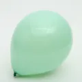 Light green pearlescent latex balloon for birthday party and wedding decoration details. - Green