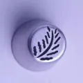 Edelstahl Spritztülle für Kuchen Dekoration, Blatt Muster Backwerkzeug nützlich. - XG1226-2 Stil