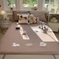 Matelas rafraîchissant gaufré d'été drap de lit en soie glacée respirant broderie d'animaux - Tapis de lit Relax Island (Chuangshang) - Café