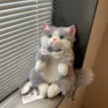 Zaino gatto in peluche grigio e bianco con colletto di pizzo, borsa bambola animale. - Grigio
