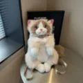 Zaino gatto in peluche simpatica borsa giocattolo morbida con colletto in pizzo e fiocco. - Kaki