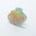 Schelp haarhaak clip detailweergave, kleurrijke iriserende acetaatafwerking met gouden lijnen. - Dromerig Gradiënt Meerkleurig (M23100601#C)