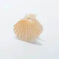 Schelp acetaat haarhaakje zoete elegante haaraccessoire voor vrouwen dagelijkse styling detail - Elegant Romig Abrikoos (M23100601#D)