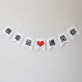 Banniere de papier blanc guirlande decoration pour fete d'anniversaire mariage - Tellement Chanceux de Vous Rencontrer