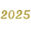 Bannière Numéro 2025 Dorée Fête Décoration Suspendue Accessoires Célébration Diplôme - Or miroir 2025
