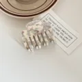 Korean Acetate Hair Claw Clip Double Keel Shark Clip Elegant Hair Accessory for Women - Blue & White