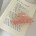 Large pink translucent acrylic hair claw clip, elegant styling, secure grip for daily women hairstyles. - Transparent Pink Fan (Claw Clip)