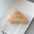 Μινιμαλιστικό διάφανο κλάψα μαλλιών, κομψή ακρυλική δαγκάνα για καθημερινή χρήση. - Πορτοκαλί
