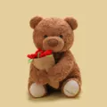 Adorable peluche ours en peluche marron tenant un bouquet de roses rouges cadeau idéal - Brun Foncé / 25cm