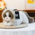 Cute fluffy ragdoll cat plush toy simulation kitty stuffed animal doll for home decor and kids gift - 30 cm / Brown