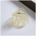Molletta per Capelli in Resina Trasparente Media Pinza Geometrica Accessore Acconciatura - Mollette per capelli dalle forme particolari / Trasparente