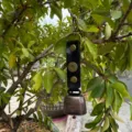 Vintage outdoor bear bell with black leather strap and brass snap for hiking camping. - Black