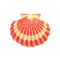 Acrylic shell brooch pendant fashion trendy design cute sweet multi-functional women accessory - Red Shell