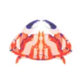 Acrylic crab brooch detail, cute animal shape fashion accessory for women, vibrant multi-color design. - Red Crab