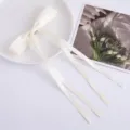 Gedetailleerd close-up uitzicht van de witte satijnen lintstrik haarklem, mooi accessoire - Broken Wit
