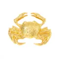 Exquisite goldfarbene Krabben Broschen Detailaufnahme, luxuriöses Legierungs-Accessoire. - Gold