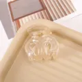 Transparent plastic hair claw clip with spring for secure daily hairstyling and ponytail accessory. - 5cm / Clear