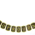 Graduation party decoration banner black and gold pennant hanging garland for school decor - Printed Style (We Are So Proud Of You)