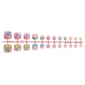 Detailed view of short press-on toenails featuring tropical flowers, rhinestones and style. - M1-14358 Style (Strip Package) / 24 Pcs/Set