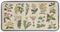 Vintage botanical print kitchen floor mat, absorbent long anti-slip rug for home entry door. - Spring Small Flowers 2