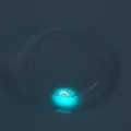 Luminous gecko bracelet featuring glow in the dark pendant, stylish copper chain for women. - Lizard Gecko Style (NB646)