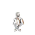 Ciondolo a gabbia delfino cavo in argento accessorio DIY per creazione di bigiotteria. - Stile Delfino (PL040)