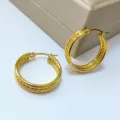 Stainless steel twisted gold hoop earrings, elegant 18K gold plated minimalist jewelry design. - Classic Round Style / 25*6mm / Gold