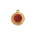 RVS ronde hanger, goudkleurige afwerking met rode gebarsten steen inlay voor DIY sieraden maken. - Ronde Platte Achterkant Inleg / Rode Turkoois