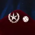 Primer plano detallado de broche dorado con estrella de trigo para cuello o chaqueta. - Pequeña Estrella de Trigo(0143) / Dorado