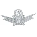 Silberner Stern Flügel Brosche Metall Militär Stil Uniform Abzeichen Mantel Accessoire - Silber