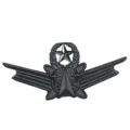 Schwarze Stern Flügel Brosche, militärischer Stil Revers Pin für Herren Uniform Mantel Zubehör - Gunmetal
