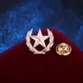 Goldfarbene Stern Weizenkranz Brosche Anstecknadel Vintage Herren Anzug Abzeichen Schmuck - Weizenähre & Fünfzackiger Stern (Gold)