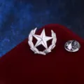 Silberner Stern Weizenkranz Reversnadel Anstecknadel Brosche fuer Herren Anzug Accessoires - Weizenähre & Fünfzackiger Stern (Silber)